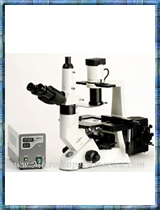 ACCU-SCOPE 3032 Plan Fluorescence Microscope 3032-EPI